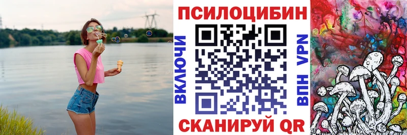 наркошоп  Нижний Ломов  Галлюциногенные грибы мухоморы 